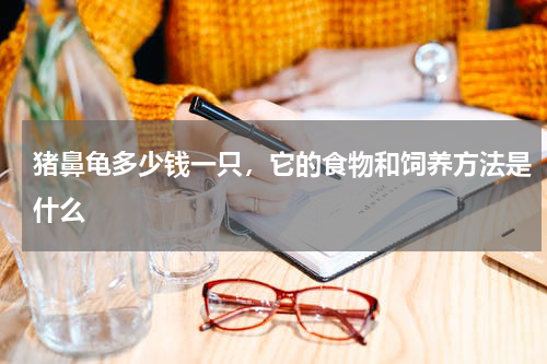 猪鼻龟多少钱一只，它的食物和饲养方法是什么