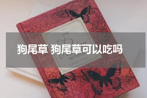 狗尾草 狗尾草可以吃吗