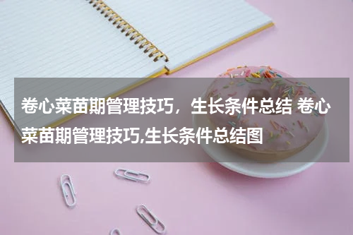 卷心菜苗期管理技巧，生长条件总结 卷心菜苗期管理技巧,生长条件总结图