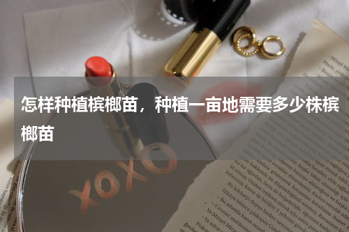 怎样种植槟榔苗，种植一亩地需要多少株槟榔苗