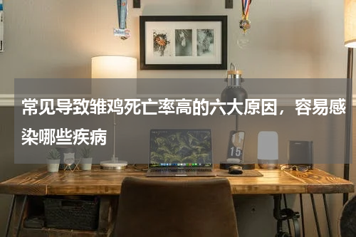 常见导致雏鸡死亡率高的六大原因，容易感染哪些疾病