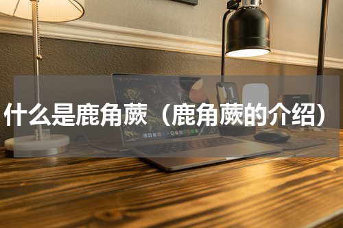 什么是鹿角蕨（鹿角蕨的介绍）