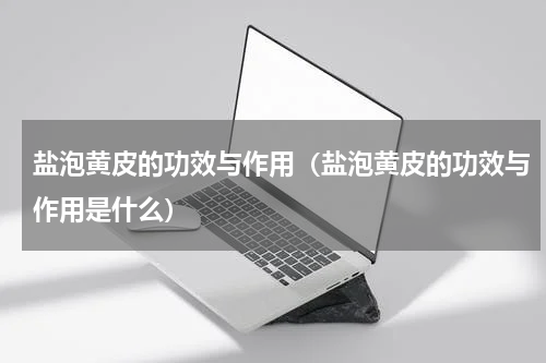 盐泡黄皮的功效与作用（盐泡黄皮的功效与作用是什么）