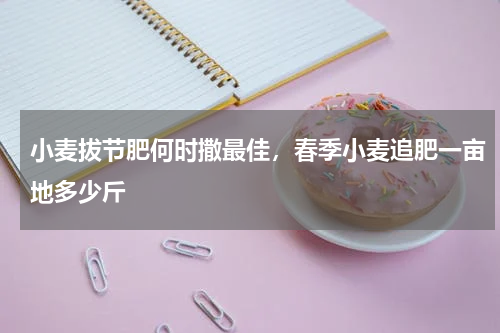 小麦拔节肥何时撒最佳，春季小麦追肥一亩地多少斤