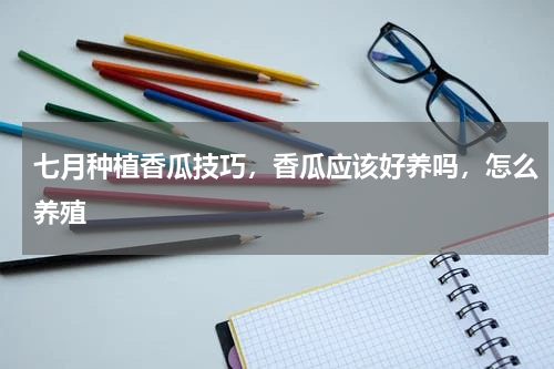 七月种植香瓜技巧，香瓜应该好养吗，怎么养殖