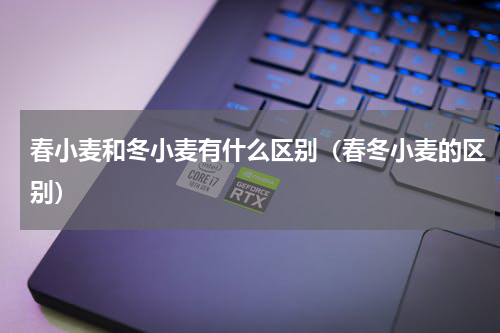 春小麦和冬小麦有什么区别（春冬小麦的区别）