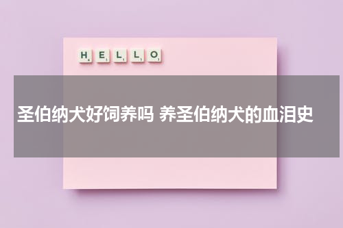 圣伯纳犬好饲养吗 养圣伯纳犬的血泪史