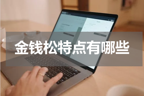 金钱松特点有哪些