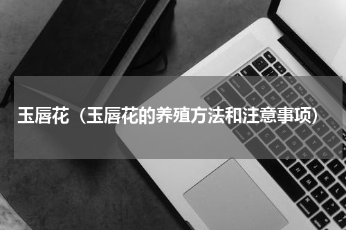 玉唇花（玉唇花的养殖方法和注意事项）