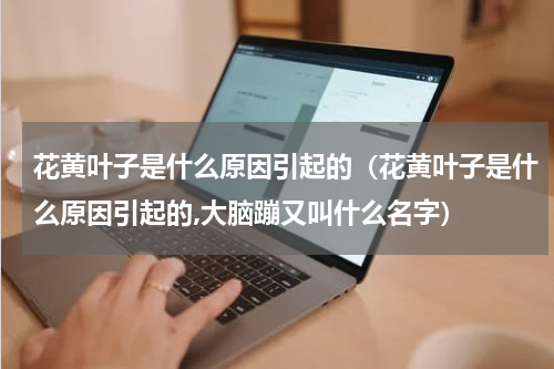 花黄叶子是什么原因引起的（花黄叶子是什么原因引起的,大脑蹦又叫什么名字）