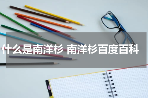 什么是南洋杉 南洋杉百度百科