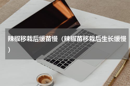 辣椒移栽后缓苗慢（辣椒苗移栽后生长缓慢）
