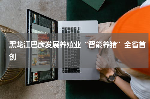 黑龙江巴彦发展养殖业“智能养猪”全省首创