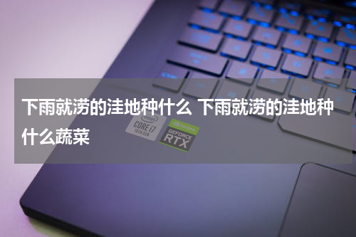 下雨就涝的洼地种什么 下雨就涝的洼地种什么蔬菜
