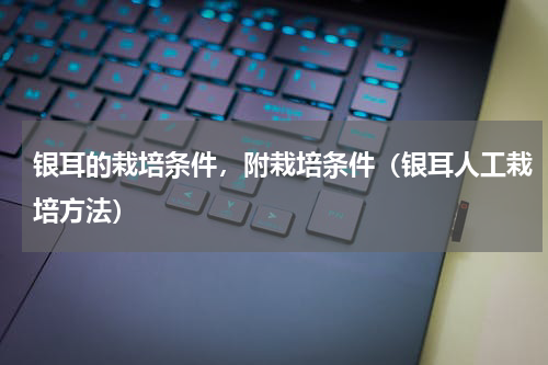 银耳的栽培条件，附栽培条件（银耳人工栽培方法）