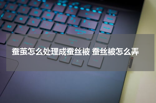 蚕茧怎么处理成蚕丝被 蚕丝被怎么弄