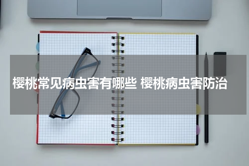 樱桃常见病虫害有哪些 樱桃病虫害防治