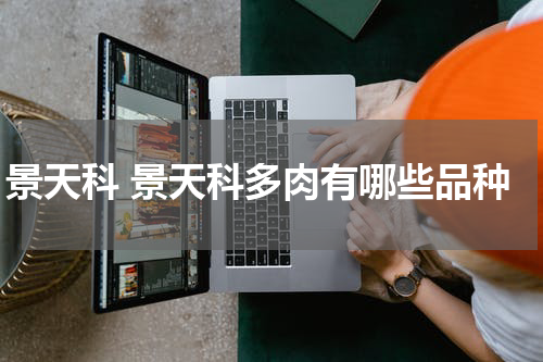 景天科 景天科多肉有哪些品种