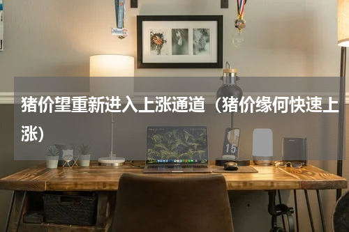 猪价望重新进入上涨通道（猪价缘何快速上涨）