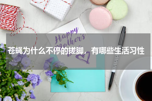 苍蝇为什么不停的搓脚，有哪些生活习性