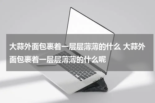 大蒜外面包裹着一层层薄薄的什么 大蒜外面包裹着一层层薄薄的什么呢