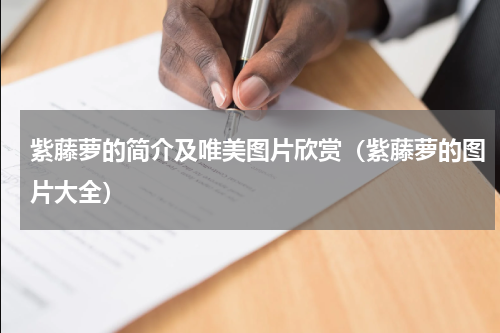 紫藤萝的简介及唯美图片欣赏（紫藤萝的图片大全）