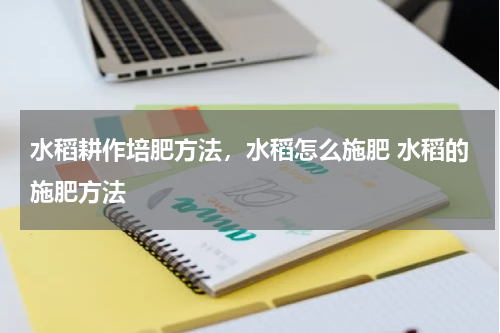 水稻耕作培肥方法，水稻怎么施肥 水稻的施肥方法