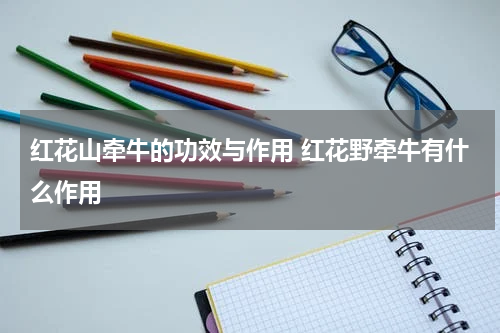 红花山牵牛的功效与作用 红花野牵牛有什么作用