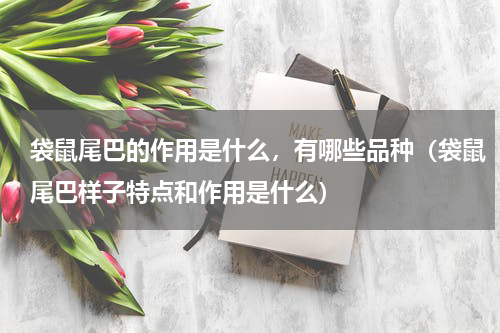 袋鼠尾巴的作用是什么，有哪些品种（袋鼠尾巴样子特点和作用是什么）
