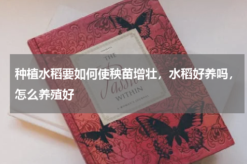 种植水稻要如何使秧苗增壮，水稻好养吗，怎么养殖好