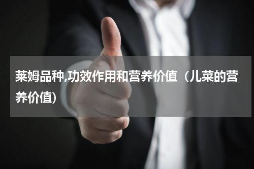 莱姆品种,功效作用和营养价值（儿菜的营养价值）