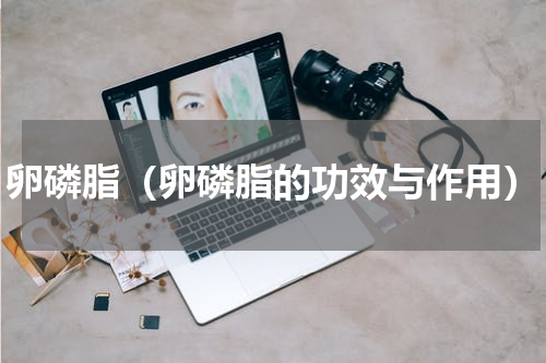 卵磷脂（卵磷脂的功效与作用）