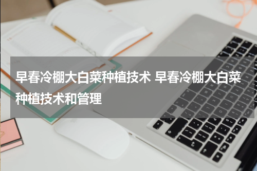 早春冷棚大白菜种植技术 早春冷棚大白菜种植技术和管理