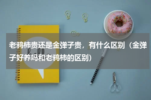 老鸦柿贵还是金弹子贵，有什么区别（金弹子好养吗和老鸦柿的区别）