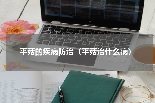 平菇的疾病防治（平菇治什么病）