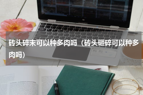 砖头碎末可以种多肉吗（砖头砸碎可以种多肉吗）