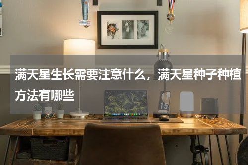 满天星生长需要注意什么，满天星种子种植方法有哪些