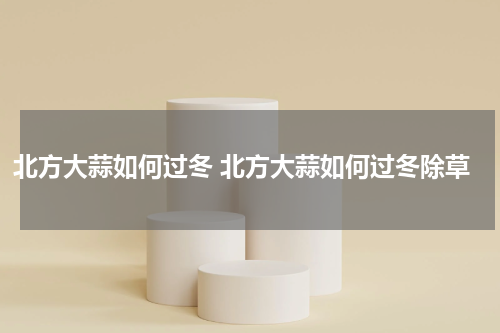 北方大蒜如何过冬 北方大蒜如何过冬除草