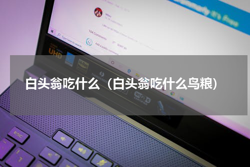 白头翁吃什么（白头翁吃什么鸟粮）