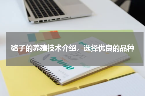 貉子的养殖技术介绍，选择优良的品种