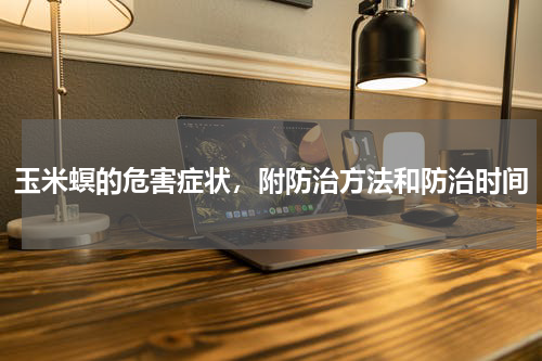 玉米螟的危害症状，附防治方法和防治时间