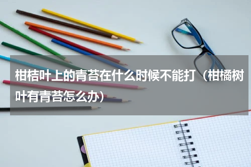 柑桔叶上的青苔在什么时候不能打（柑橘树叶有青苔怎么办）
