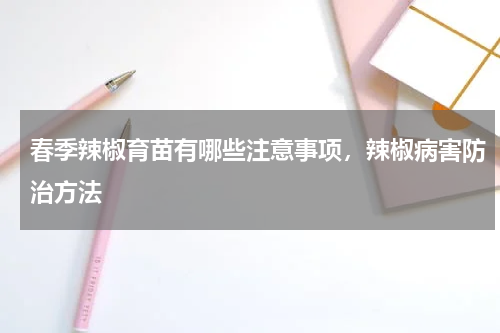 春季辣椒育苗有哪些注意事项，辣椒病害防治方法
