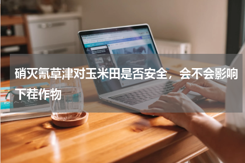 硝灭氰草津对玉米田是否安全，会不会影响下茬作物