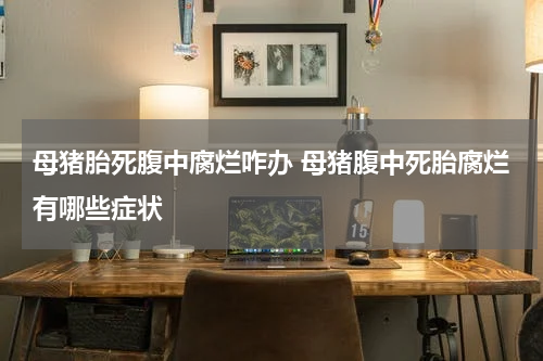 母猪胎死腹中腐烂咋办 母猪腹中死胎腐烂有哪些症状