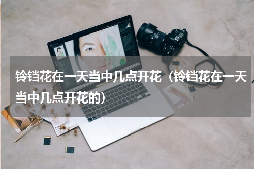 铃铛花在一天当中几点开花（铃铛花在一天当中几点开花的）