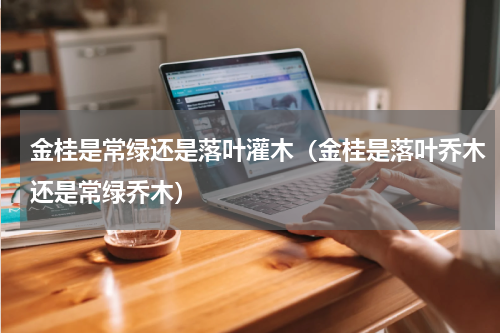 金桂是常绿还是落叶灌木（金桂是落叶乔木还是常绿乔木）