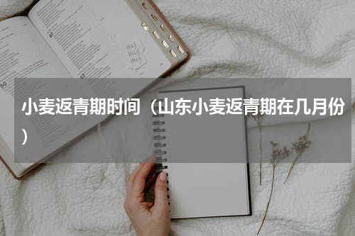 小麦返青期时间（山东小麦返青期在几月份）