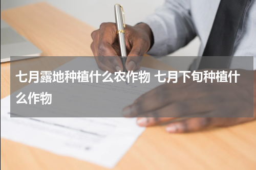 七月露地种植什么农作物 七月下旬种植什么作物