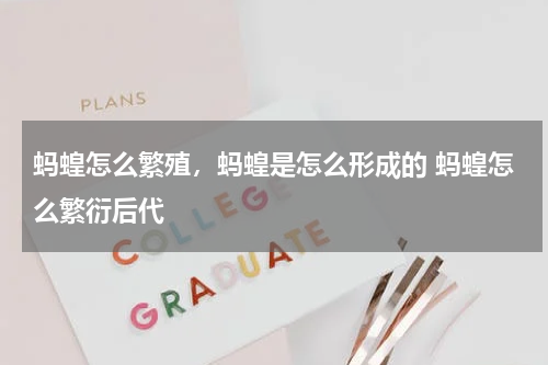 蚂蝗怎么繁殖，蚂蝗是怎么形成的 蚂蝗怎么繁衍后代